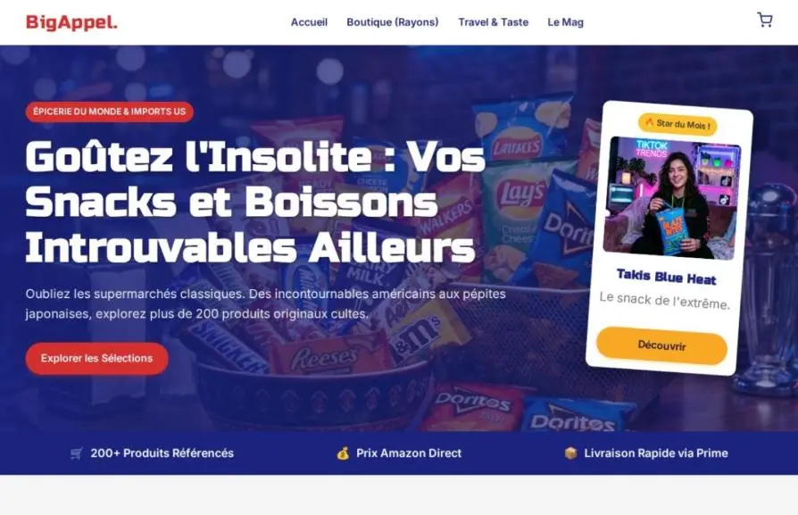 Capture de la page d'accueil de bigapple-shop.fr