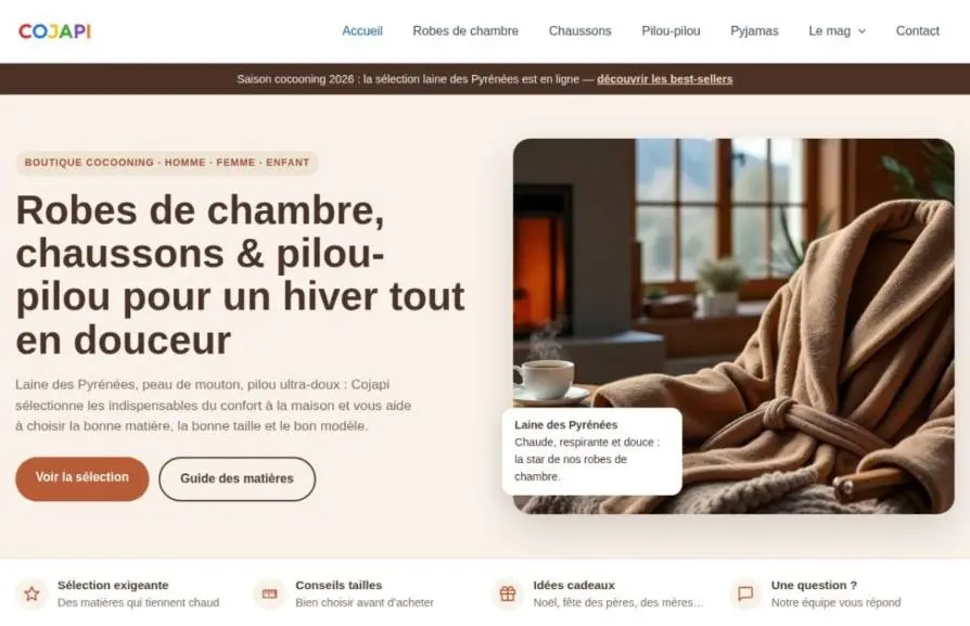 Capture de la page d'accueil de cojapi.com