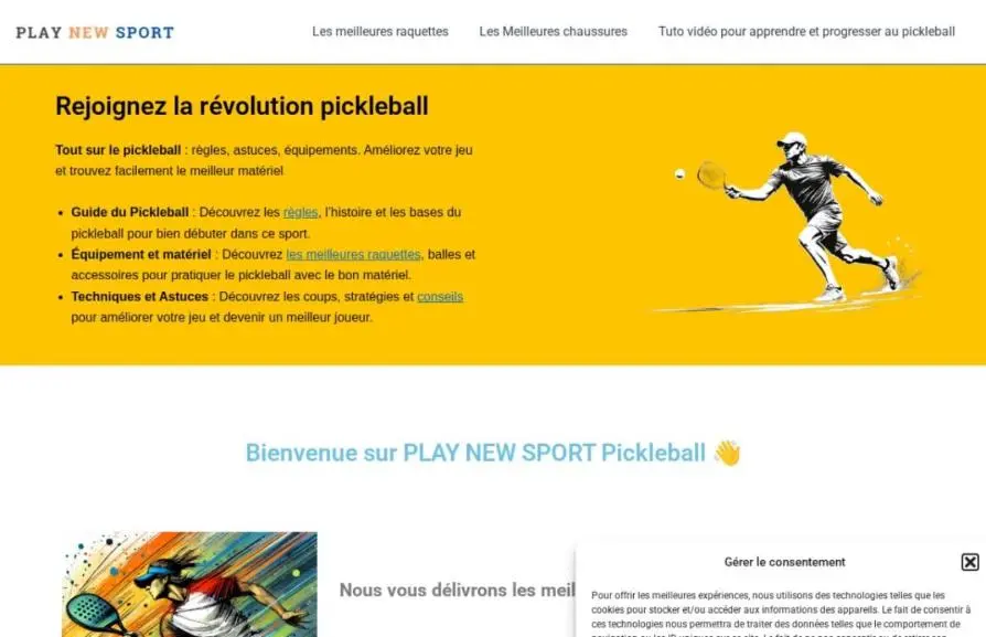 Capture de la page d'accueil de playnewsport.com